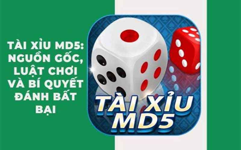 Hướng dẫn đánh tài xỉu MD5