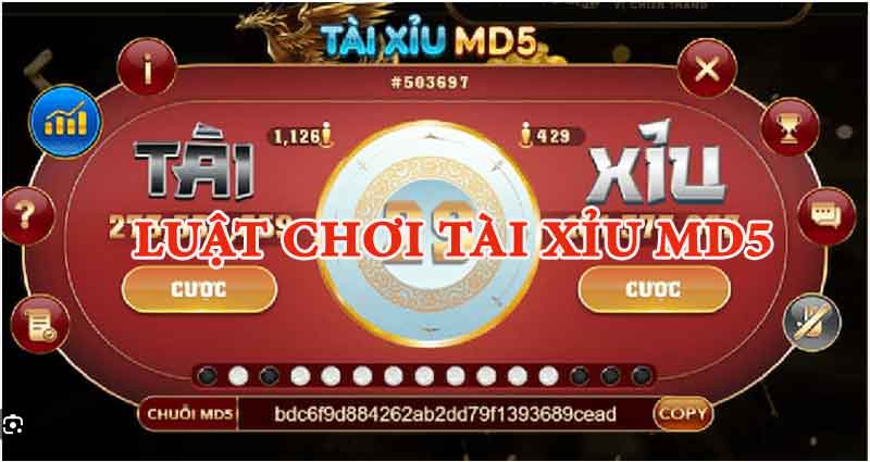 Chi tiết luật chơi tài xỉu MD5